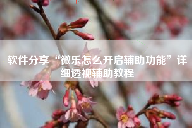 软件分享“微乐怎么开启辅助功能”详细透视辅助教程