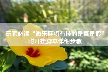 玩家必读“微乐麻将有挂的是真是假	”附开挂脚本详细步骤