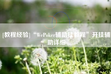 [教程经验]“WePoker辅助挂教程	”开挂辅助详细