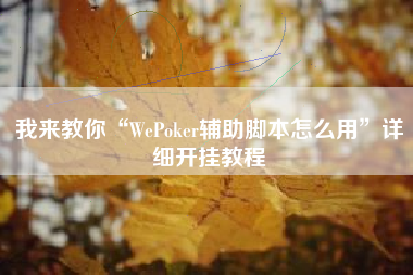 我来教你“WePoker辅助脚本怎么用	”详细开挂教程