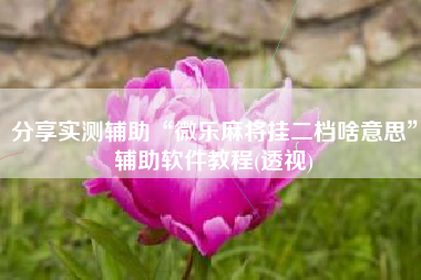 分享实测辅助“微乐麻将挂二档啥意思	”辅助软件教程(透视)