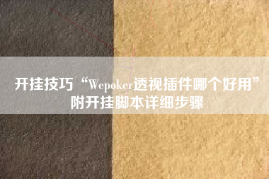 开挂技巧“Wepoker透视插件哪个好用	”附开挂脚本详细步骤