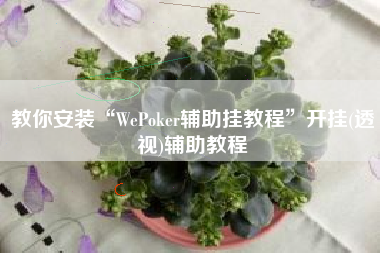 教你安装“WePoker辅助挂教程”开挂(透视)辅助教程