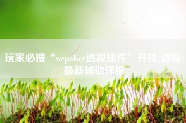 玩家必搜“wepoKer透视插件”开挂(透视)最新辅助详细