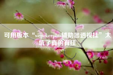 可用版本“wepokerplus辅助器透视挂”太坑了真的有挂