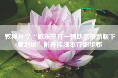 教程分享“微乐三打一辅助器最新版下载地址”附开挂脚本详细步骤