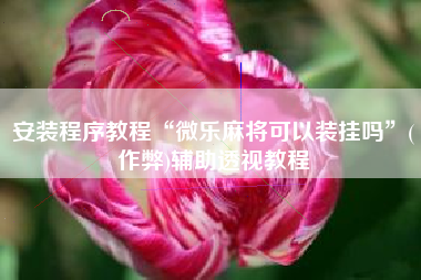 安装程序教程“微乐麻将可以装挂吗”(作弊)辅助透视教程