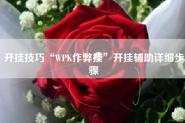 开挂技巧“WPK作弊挂	”开挂辅助详细步骤