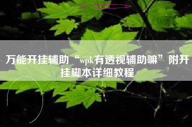 万能开挂辅助“wpk有透视辅助嘛	”附开挂脚本详细教程