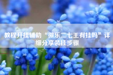 教程开挂辅助“微乐二七王有挂吗”详细分享装挂步骤