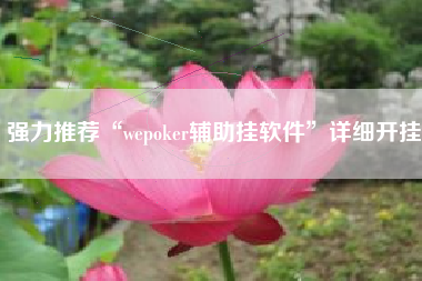 强力推荐“wepoker辅助挂软件	”详细开挂