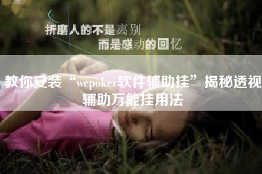 教你安装“wepoker软件辅助挂”揭秘透视辅助万能挂用法