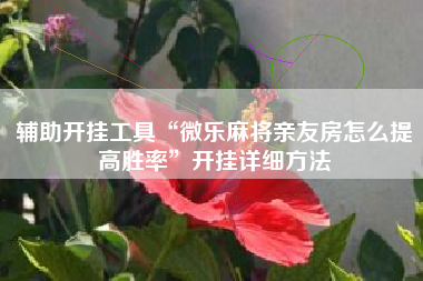 辅助开挂工具“微乐麻将亲友房怎么提高胜率	”开挂详细方法