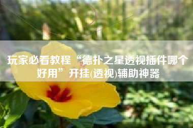 玩家必看教程“德扑之星透视插件哪个好用	”开挂(透视)辅助神器