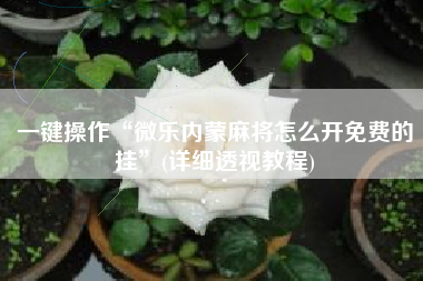 一键操作“微乐内蒙麻将怎么开免费的挂”(详细透视教程)