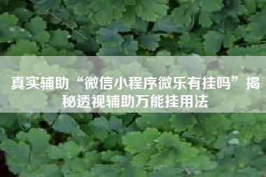真实辅助“微信小程序微乐有挂吗”揭秘透视辅助万能挂用法