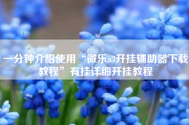一分钟介绍使用“微乐a3开挂辅助器下载教程	”有挂详细开挂教程