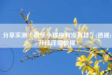 分享实测“微乐小程序有没有挂”(透视)开挂详细教程