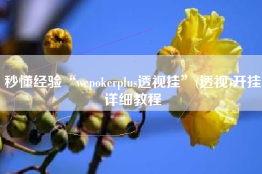 秒懂经验“wepokerplus透视挂	”(透视)开挂详细教程