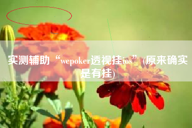 实测辅助“wepoker透视挂ios”(原来确实是有挂)