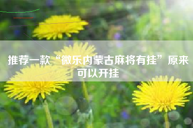 推荐一款“微乐内蒙古麻将有挂”原来可以开挂