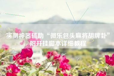 实测神器辅助“微乐包头麻将胡牌卦”附开挂脚本详细教程