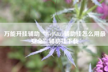 万能开挂辅助“WePoker辅助挂怎么用最安全	”辅助挂下载