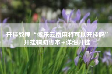 开挂教程“微乐云南麻将可以开挂吗”开挂辅助脚本+详细开挂