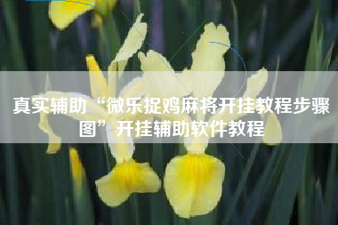 真实辅助“微乐捉鸡麻将开挂教程步骤图	”开挂辅助软件教程