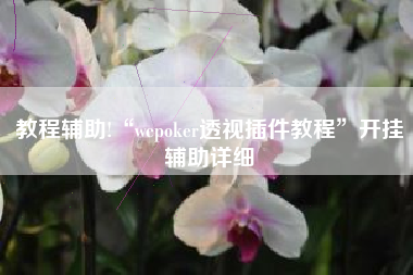 教程辅助!“wepoker透视插件教程	”开挂辅助详细