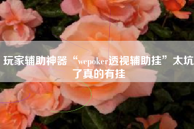 玩家辅助神器“wepoker透视辅助挂”太坑了真的有挂