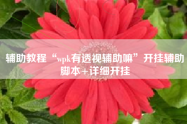 辅助教程“wpk有透视辅助嘛	”开挂辅助脚本+详细开挂
