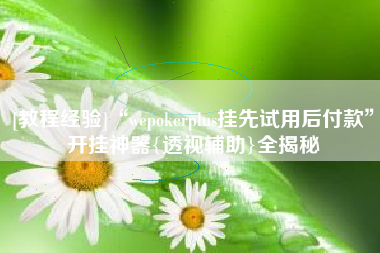 [教程经验]“wepokerplus挂先试用后付款”开挂神器{透视辅助}全揭秘