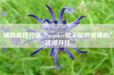 辅助教程分享“wepoker能不能透视辅助	”详细开挂