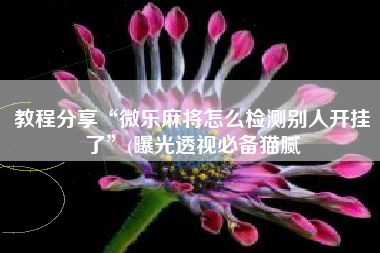 教程分享“微乐麻将怎么检测别人开挂了	”(曝光透视必备猫腻