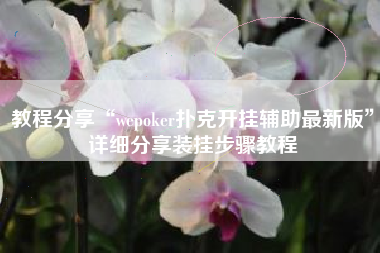 教程分享“wepoker扑克开挂辅助最新版	”详细分享装挂步骤教程