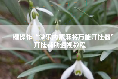 一键操作“微乐内蒙麻将万能开挂器”开挂辅助透视教程