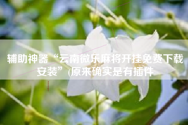 辅助神器“云南微乐麻将开挂免费下载安装”(原来确实是有插件