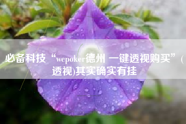必备科技“wepoker德州 一键透视购买”(透视)其实确实有挂