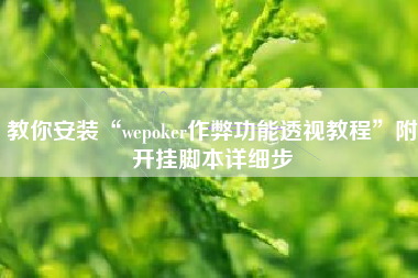 教你安装“wepoker作弊功能透视教程	”附开挂脚本详细步