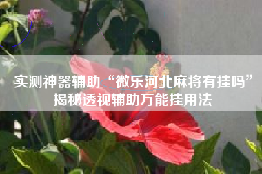 实测神器辅助“微乐河北麻将有挂吗	”揭秘透视辅助万能挂用法