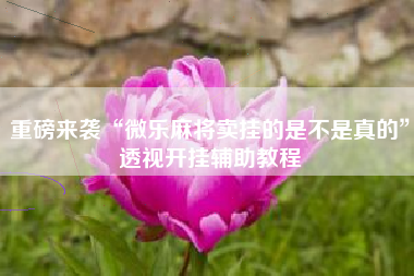 重磅来袭“微乐麻将卖挂的是不是真的”透视开挂辅助教程