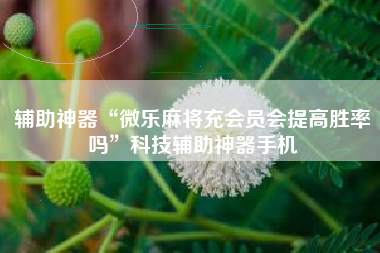 辅助神器“微乐麻将充会员会提高胜率吗”科技辅助神器手机