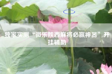 独家实测“微乐陕西麻将必赢神器”开挂辅助