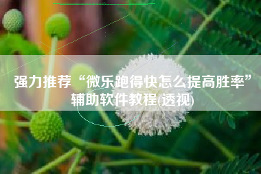 强力推荐“微乐跑得快怎么提高胜率”辅助软件教程(透视)