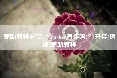 辅助教程分享“agpoker有挂吗?”开挂(透视)辅助教程