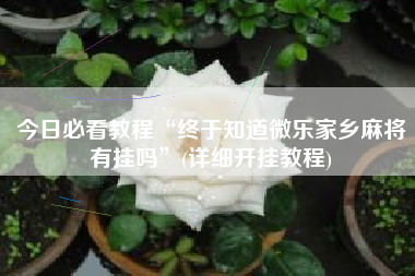 今日必看教程“终于知道微乐家乡麻将有挂吗”(详细开挂教程)