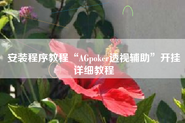 安装程序教程“AGpoker透视辅助	”开挂详细教程