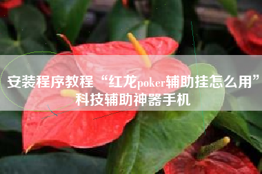 安装程序教程“红龙poker辅助挂怎么用	”科技辅助神器手机