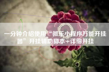 一分钟介绍使用“微乐小程序万能开挂器”开挂辅助脚本+详细开挂